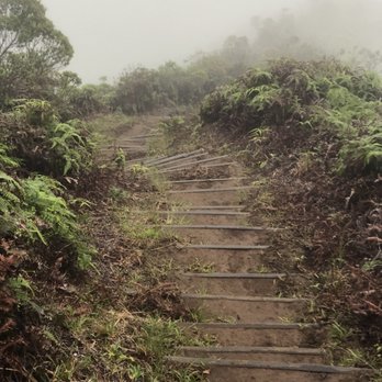 Hawaii Loa Ridge Trail - These stairs killed me lol - Hiking Near Me - Honolulu, Hawaii Hawaii Loa Ridge Trail - These stairs killed me lol - Hiking Near Me - Honolulu, Hawaii