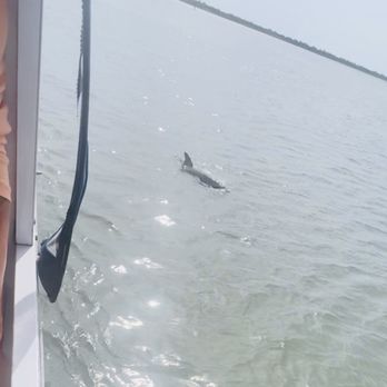 Florida Water Tours - Dolphins SO close to the boat - Boat Tours Near Me - St. Augustine, Florida Florida Water Tours - Dolphins SO close to the boat - Boat Tours Near Me - St. Augustine, Florida