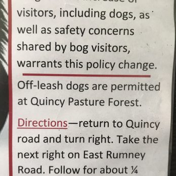 Quincy Bog Natural Area - Quincy Pasture Forest for those kids who need to run wild in nature - Parks Near Me - Rumney, New Hampshire