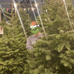 Olympic Christmas Trees