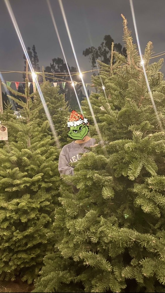 OLYMPIC CHRISTMAS TREES Updated August 2024 46 Photos & 88 Reviews