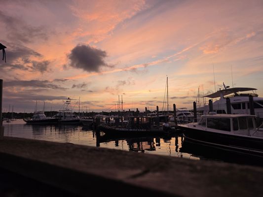 Dog Watch Cafe by null