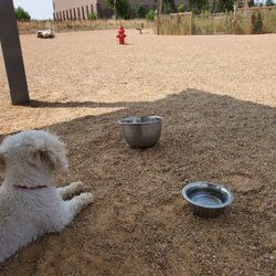 Trail Winds Dog Park