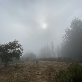 Mount Madonna County Park - Parks Near Me - Watsonville, California