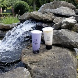 Bubble Bear Tea