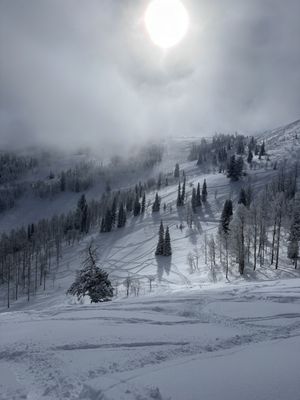 Powder Mountain by null