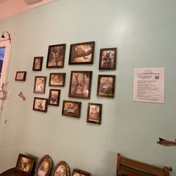 White Rabbit Books