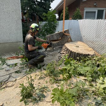Cowboy Trail Tree Service - Tree Services Near Me - Calgary, Alberta Cowboy Trail Tree Service - Tree Services Near Me - Calgary, Alberta