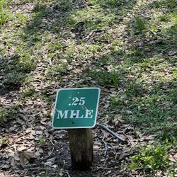 Oaks Park