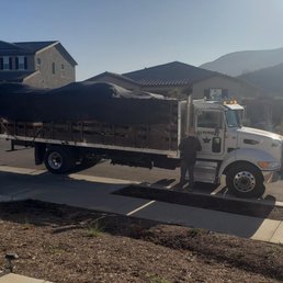 Trees being dropped off