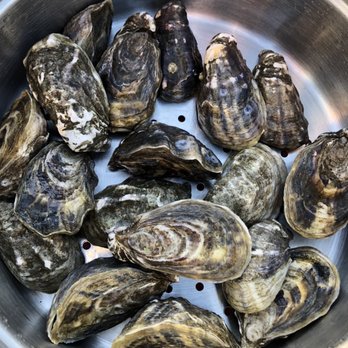 Seattle Fish Company - 18 premium oysters - Seafood Markets Near Me - Seattle, Washington