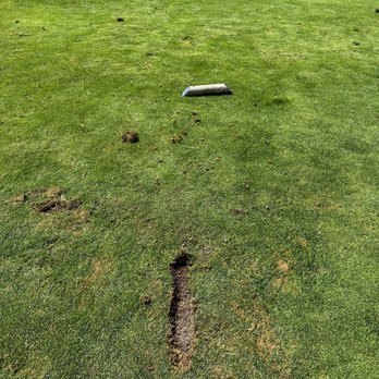 Los Lagos Golf Course - A sideways HUGE divot on the tee box? - Golf Near Me - San Jose, California Los Lagos Golf Course - A sideways HUGE divot on the tee box? - Golf Near Me - San Jose, California