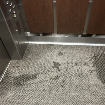Courthouse Lofts - Human and dog urine in the elevator - Apartments Near Me - Kansas City, Missouri