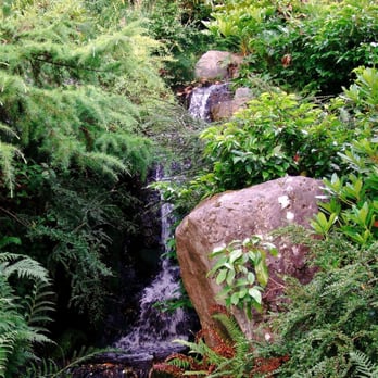 Kubota Garden - Small waterfall. - Botanical Gardens Near Me - Seattle, Washington Kubota Garden - Small waterfall. - Botanical Gardens Near Me - Seattle, Washington