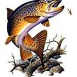 Aquatic Imitations - This is our quarry and our specialty.