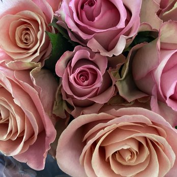 Sandoval and Sons Flower Grower - Pink roses - Pick Your Own Farms Near Me - Bonsall, California Sandoval and Sons Flower Grower - Pink roses - Pick Your Own Farms Near Me - Bonsall, California