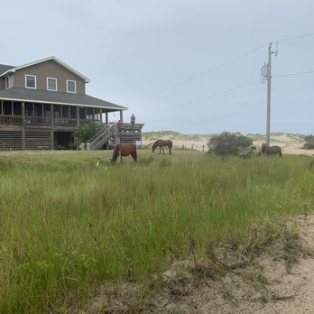 Wild Horse Adventure Tours - Tours Near Me - Corolla, North Carolina Wild Horse Adventure Tours - Tours Near Me - Corolla, North Carolina
