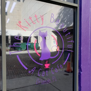 The Kitty Beautiful - Cafes Near Me - Orlando, Florida The Kitty Beautiful - Cafes Near Me - Orlando, Florida