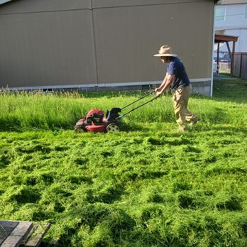 Silva Lawn Care - a man mowing the grass - Lawn Services Near Me Silva Lawn Care - a man mowing the grass - Lawn Services Near Me