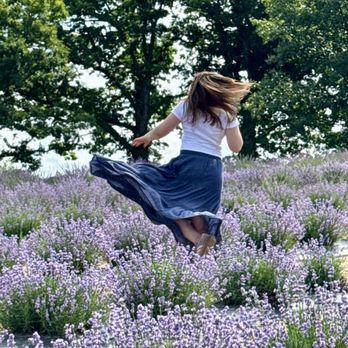 Ocimeae Lavender Farm - Farms Near Me - Webberville, Michigan Ocimeae Lavender Farm - Farms Near Me - Webberville, Michigan