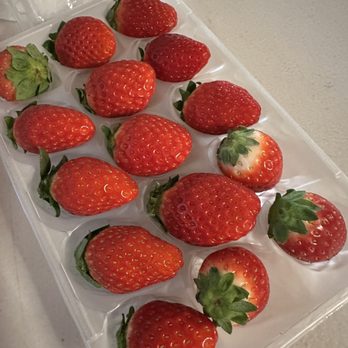 Mana Sandwiches - Oh, you must try these sweet and tart Tochiotome strawberries from Japan! ($19.99) - Sandwiches Near Me - Honolulu, Hawaii Mana Sandwiches - Oh, you must try these sweet and tart Tochiotome strawberries from Japan! ($19.99) - Sandwiches Near Me - Honolulu, Hawaii