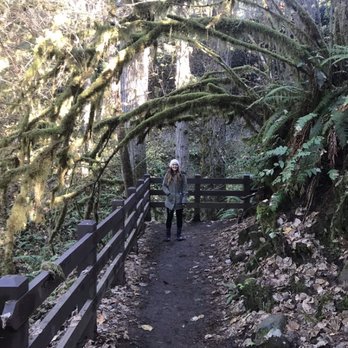 Silver Falls State Park - Hiking Near Me - Sublimity, Oregon Silver Falls State Park - Hiking Near Me - Sublimity, Oregon