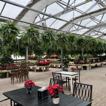 Overlook Produce - Greenhouse with plants and pots - Farmers Market Near Me - Mount Crawford, Virginia