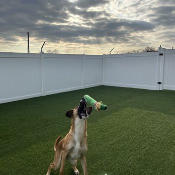 Our Dog House in Argyle - Pet Boarding Near Me - Argyle, Texas
