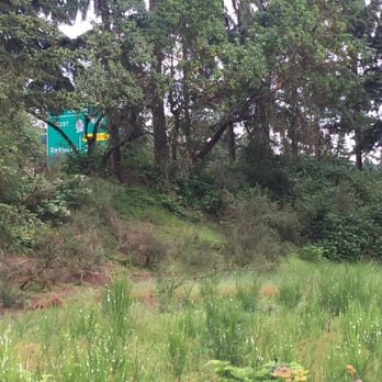 Watershed Park - You're that close to the freeway - Hiking Near Me - Kirkland, Washington