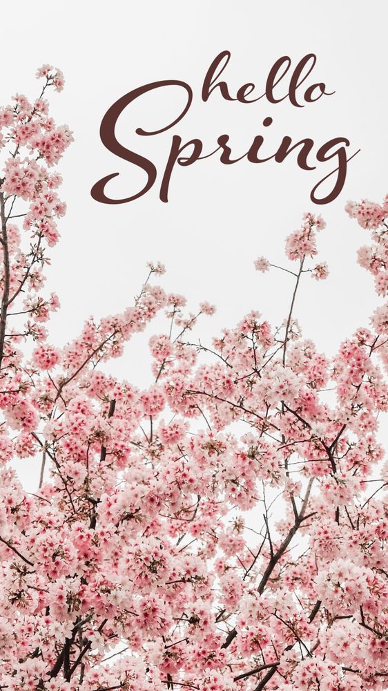 MELKA LANDSCAPING & GARDEN CENTER Updated April 2024 311 Photos