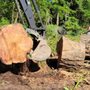 Photo of Loury's Land Services