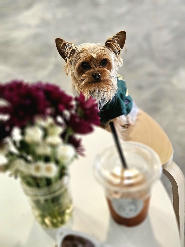 Chloé Cà Phê & Roastery