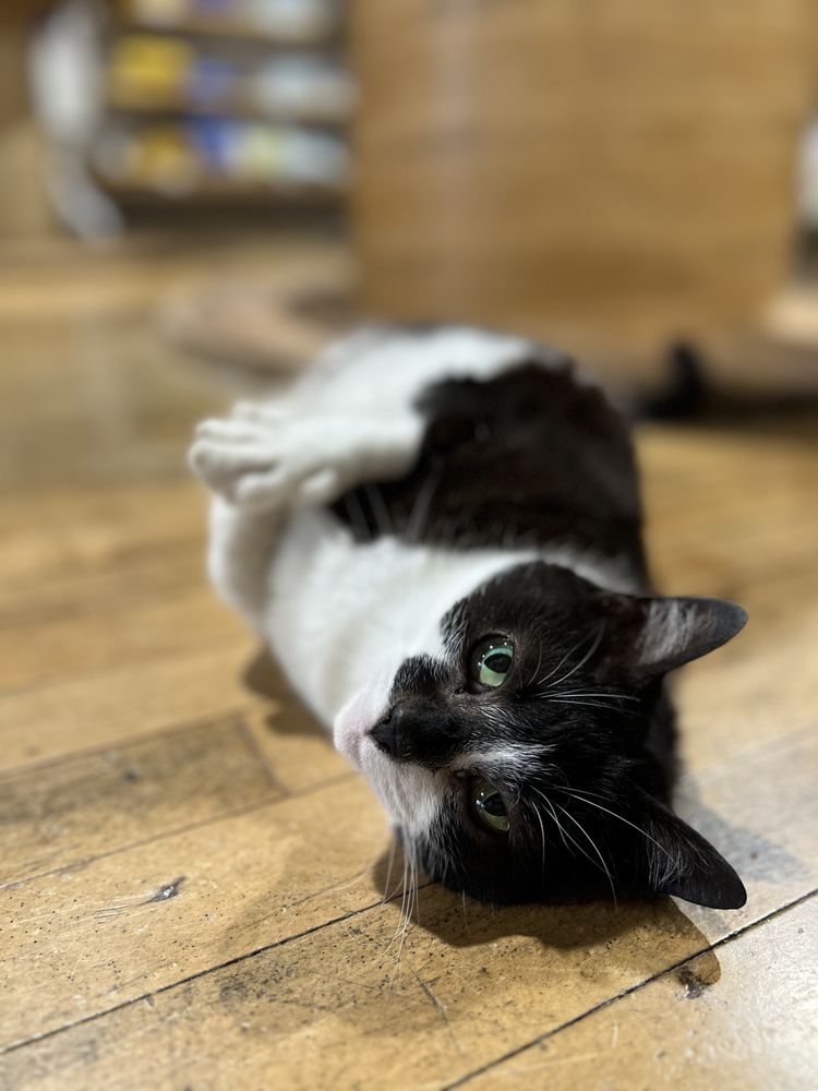 Social spots from Conspire: Contemporary Craft