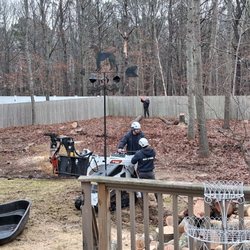 Six Tree Service