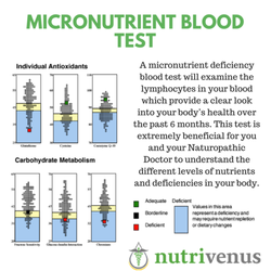 Nutrivenus - More information about our Micronutrient Blood Test.