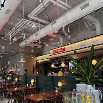Shy Bird - Inside dining area - Diners Near Me - Boston, Massachusetts
