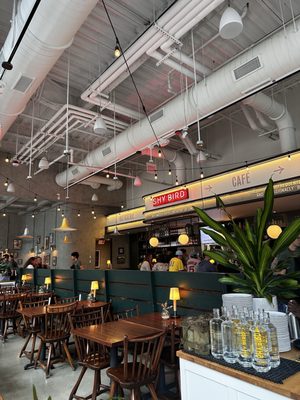 Shy Bird - Fenway by null