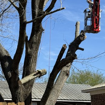 Nichols Tree and Lawn Care Services - Tree Services Near Me - Hartman, Arkansas Nichols Tree and Lawn Care Services - Tree Services Near Me - Hartman, Arkansas