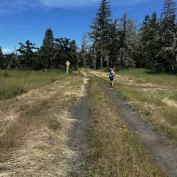 Thurston Hills Natural Area - The "top". Note the Mossy Maples in the background.