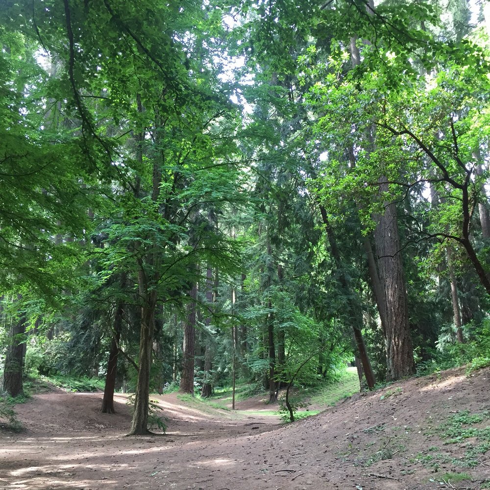 Pier Park - Parks Near Me - Portland, Oregon Pier Park - Parks Near Me - Portland, Oregon