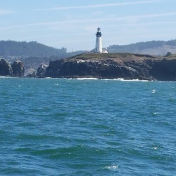 Yaquina Bay Charters - Lighthouse viewed from the boat. Photo was taken seconds before a whale breached and sent a spray skyward. - Fishing Near Me - Newport, Oregon Yaquina Bay Charters - Lighthouse viewed from the boat. Photo was taken seconds before a whale breached and sent a spray skyward. - Fishing Near Me - Newport, Oregon