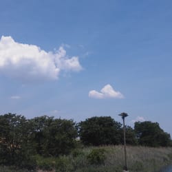 Fresh Kills Park