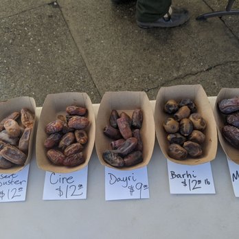 FLYING DISC RANCH - Updated January 2026 - 13 Photos & 10 Reviews ...