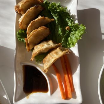 Pho Sky Blossom - Fried Dumplings - Vietnamese Near Me - Belle Isle, Florida