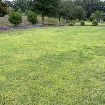 Massey Services - a green lawn with trees in the background - Landscaping Near Me - Gainesville, Florida Massey Services - a green lawn with trees in the background - Landscaping Near Me - Gainesville, Florida