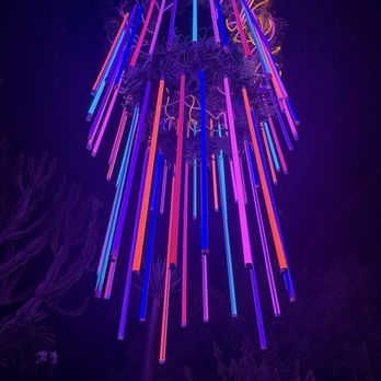 Desert Botanical Garden - Neon chandelier - Botanical Gardens Near Me - Phoenix, Arizona Desert Botanical Garden - Neon chandelier - Botanical Gardens Near Me - Phoenix, Arizona