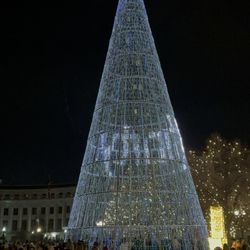 Civic Center Park Outdoor Market & Cafe - Large tree