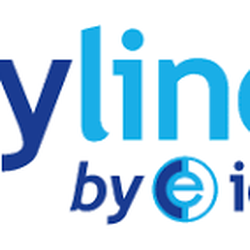 Payline by Ice - Payline logo