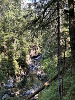 Franklin Falls Trailhead by null