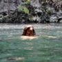 Photo of Oficina Los 7 Cenotes